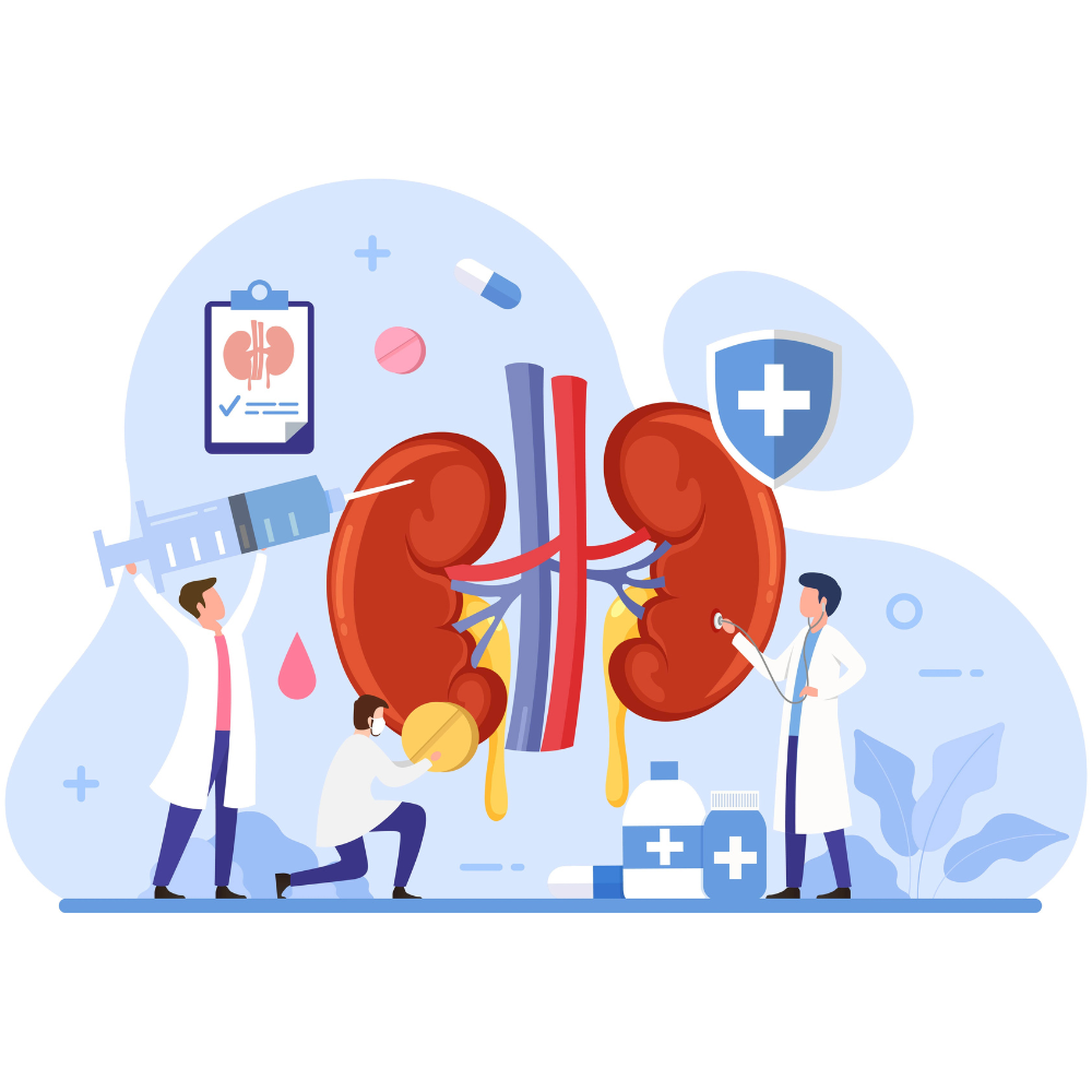 Laboratory evaluation for chronic kidney disease