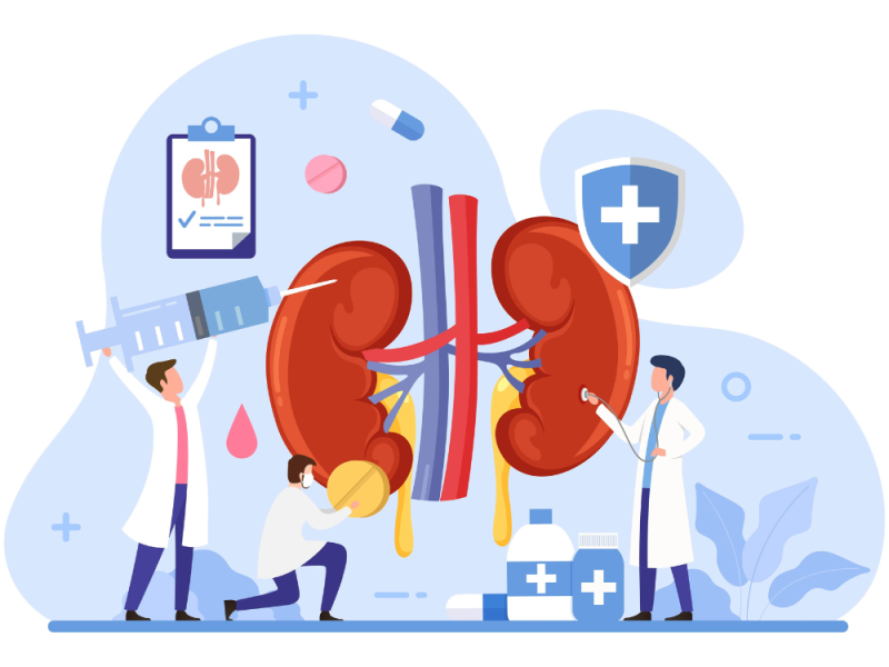 Laboratory evaluation for chronic kidney disease